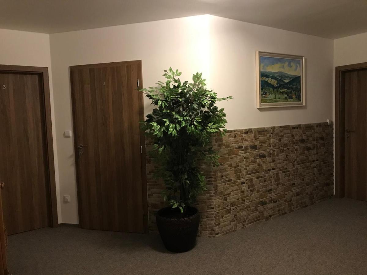 Na Planyrce Hotel Paseky nad Jizerou Bagian luar foto