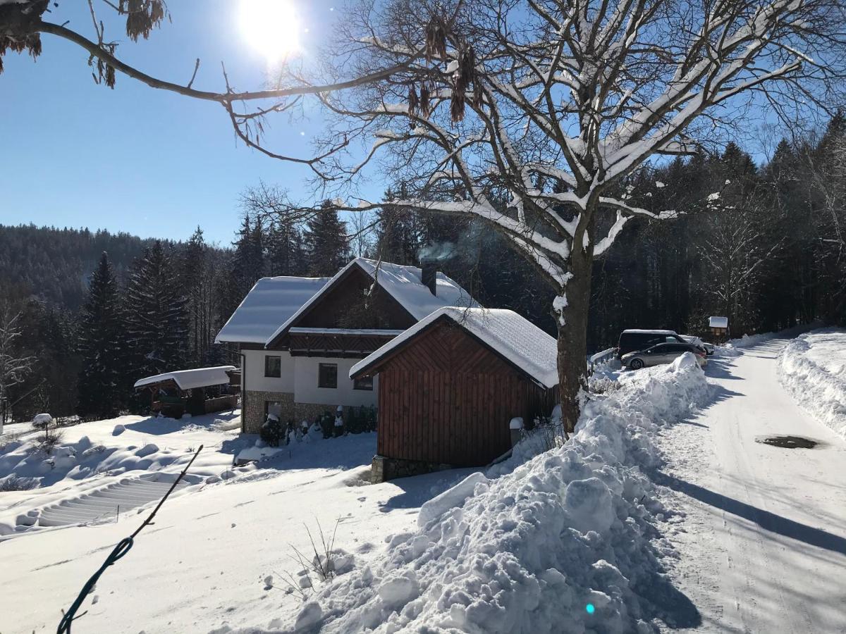 Na Planyrce Hotel Paseky nad Jizerou Bagian luar foto