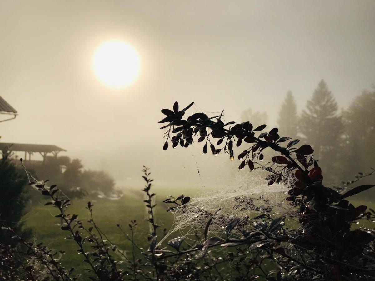Na Planyrce Hotel Paseky nad Jizerou Bagian luar foto