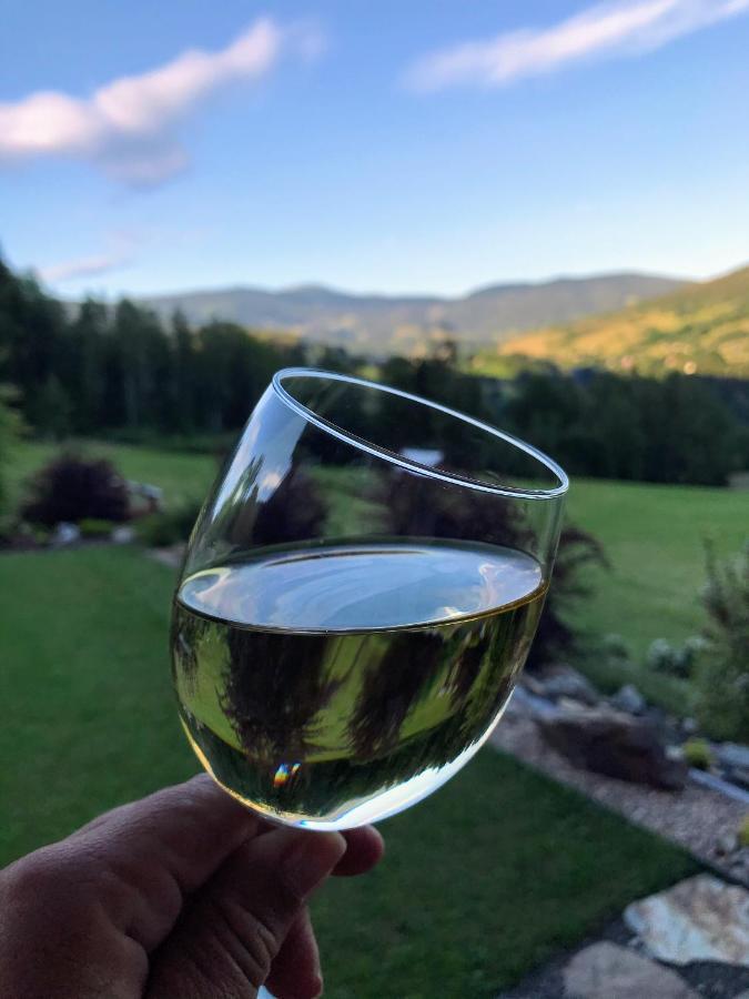 Na Planyrce Hotel Paseky nad Jizerou Bagian luar foto